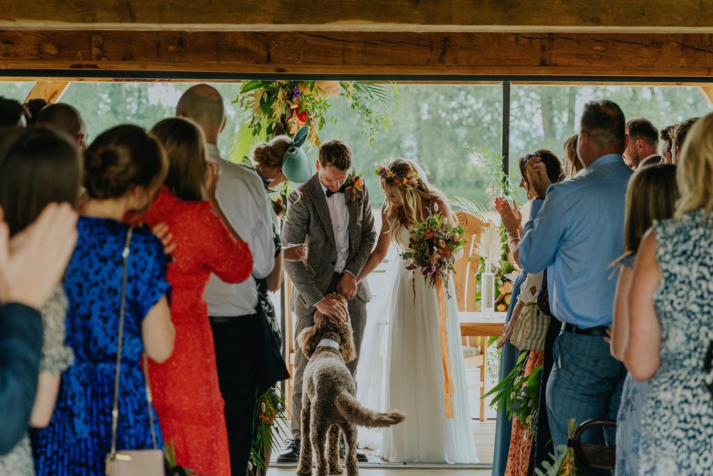 Dog wearing a wedding bow tie and acting as ring bearer